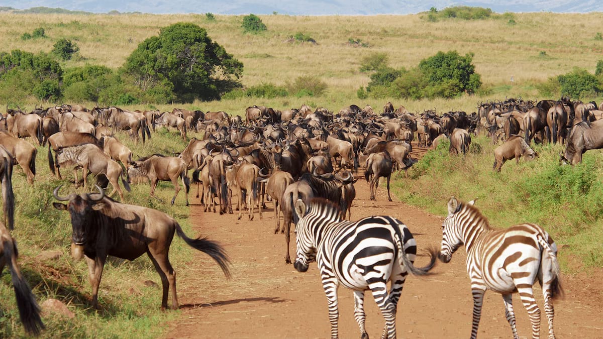 Kenya