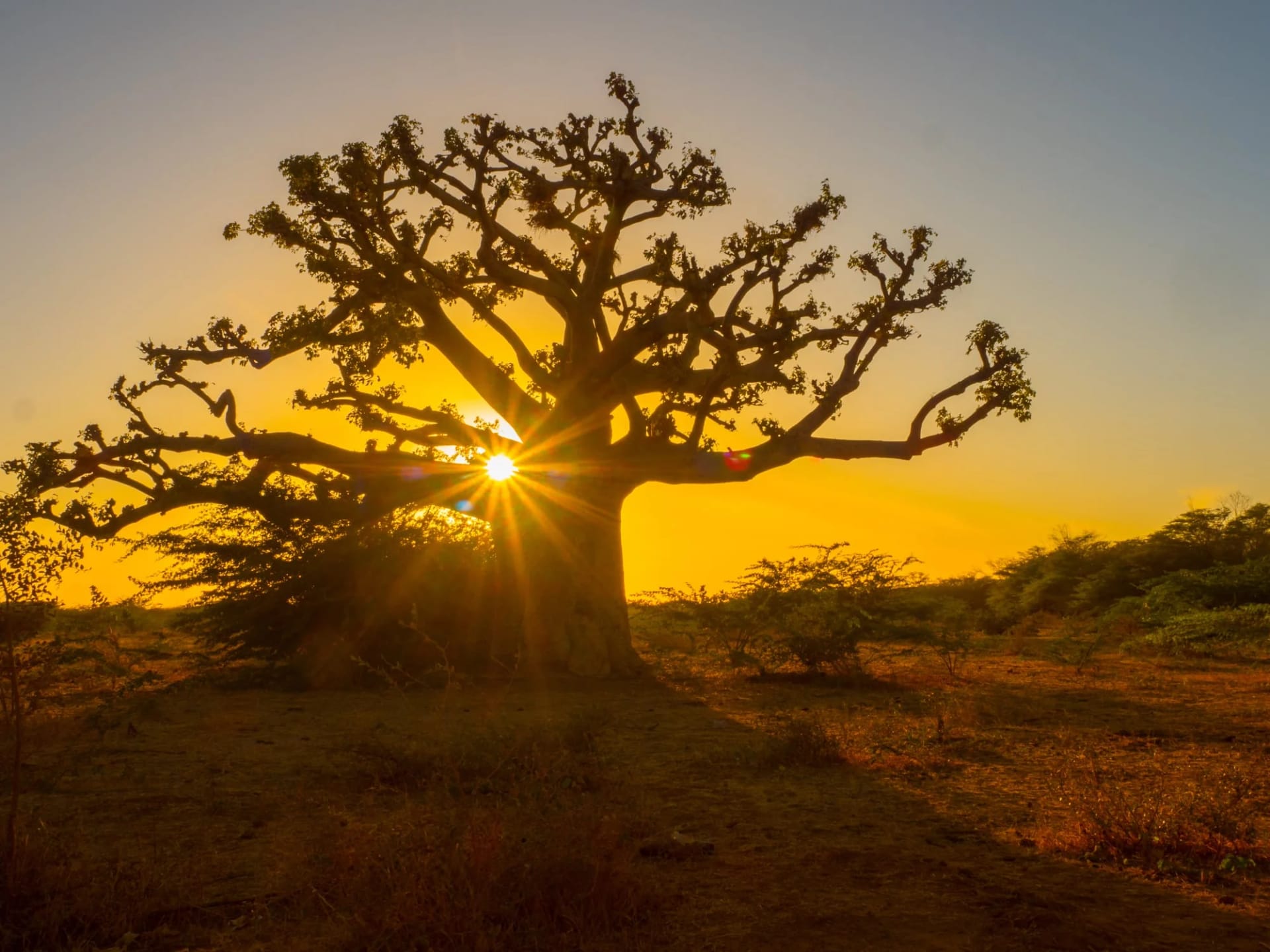Africa Occidental, Africa
