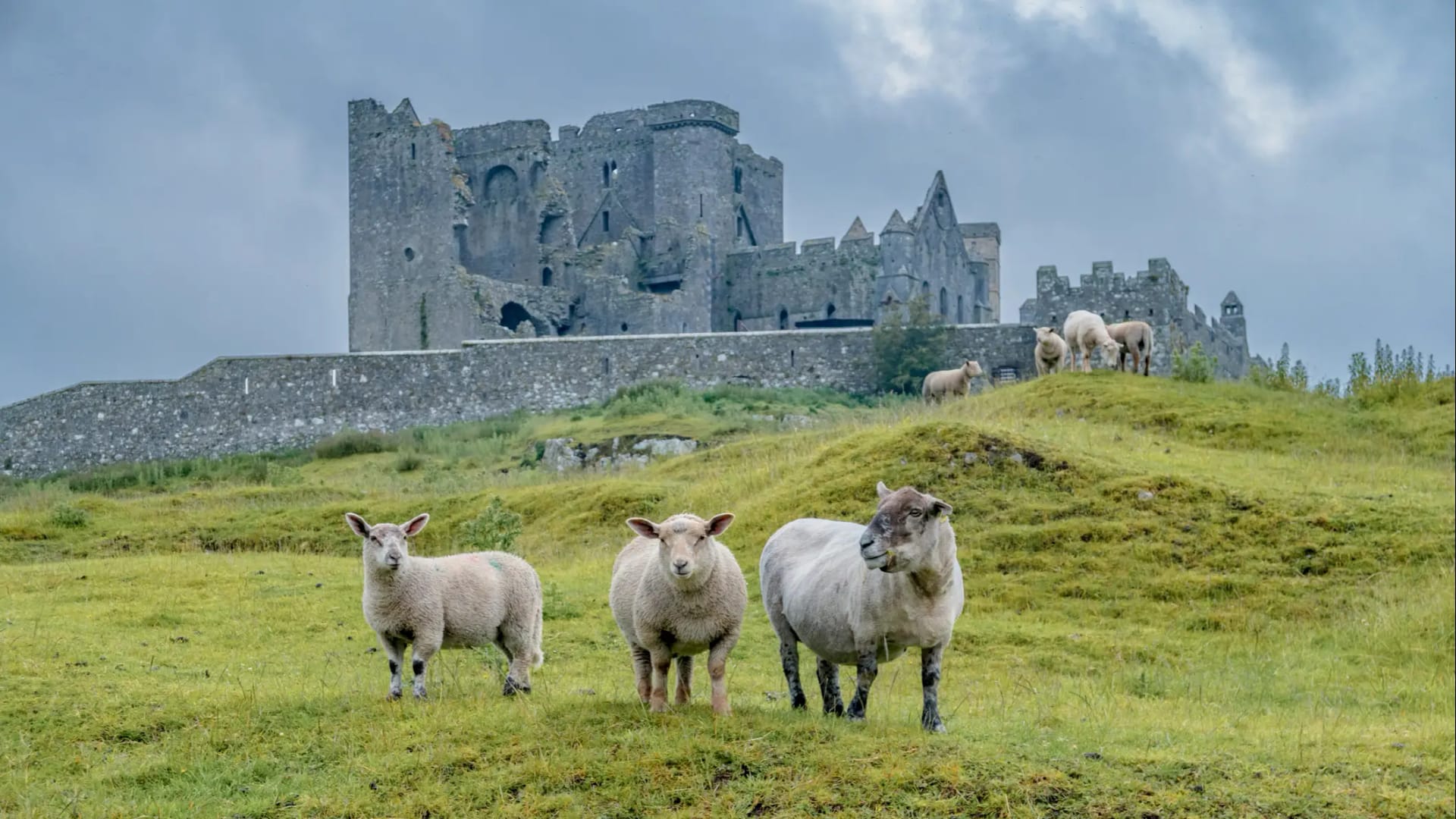 Irlanda