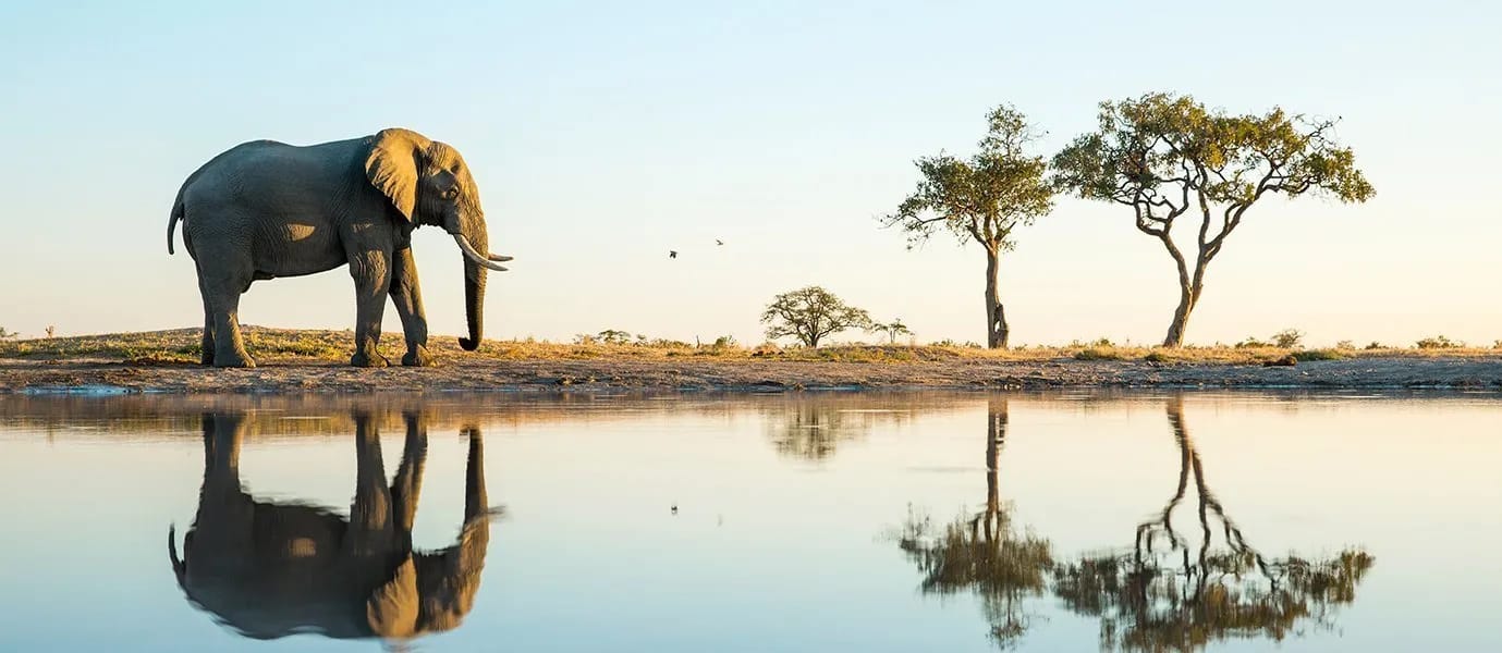 Zimbabue, Botsuana, Namibia y Sudáfrica