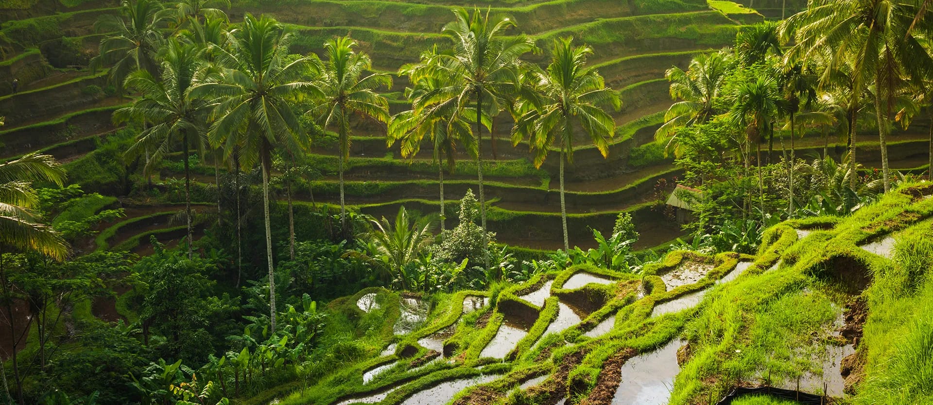 Indonesia