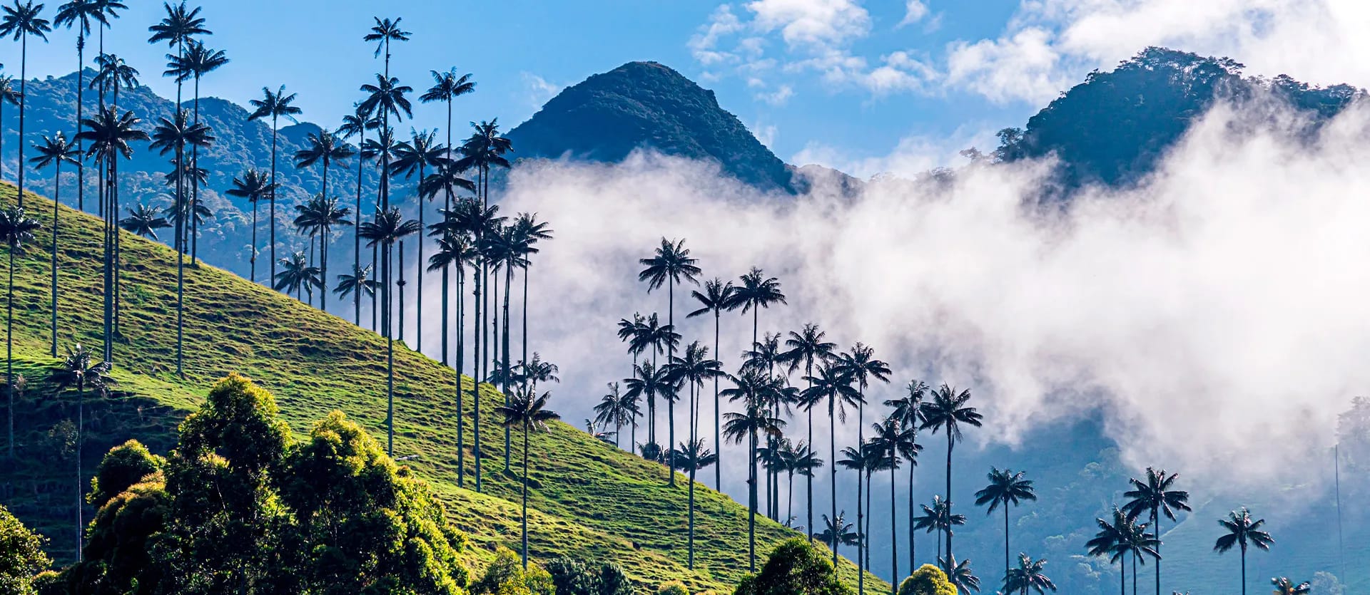 Colombia
