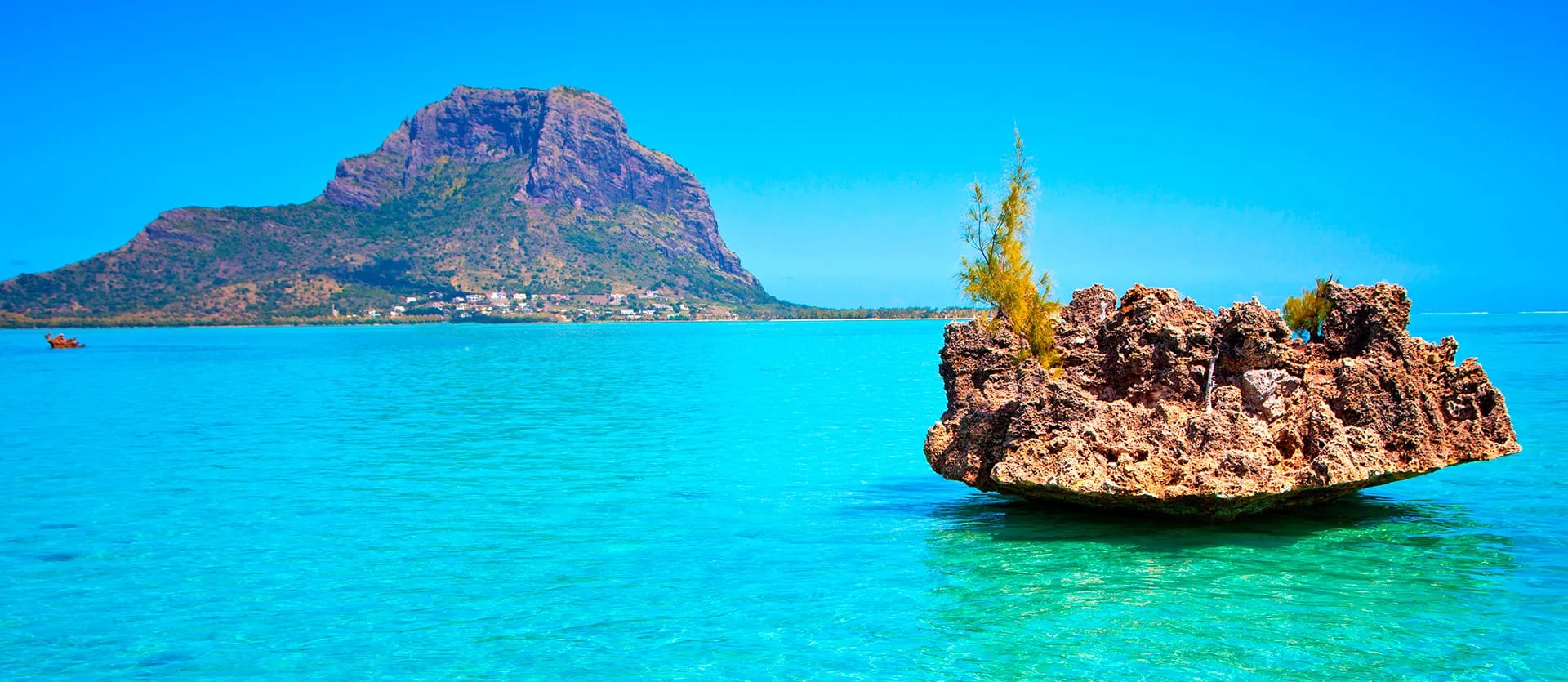 South Africa & Mauritius