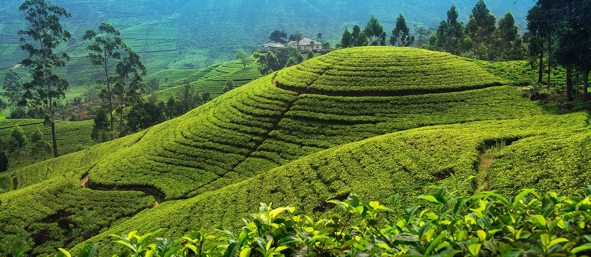 Sri Lanka