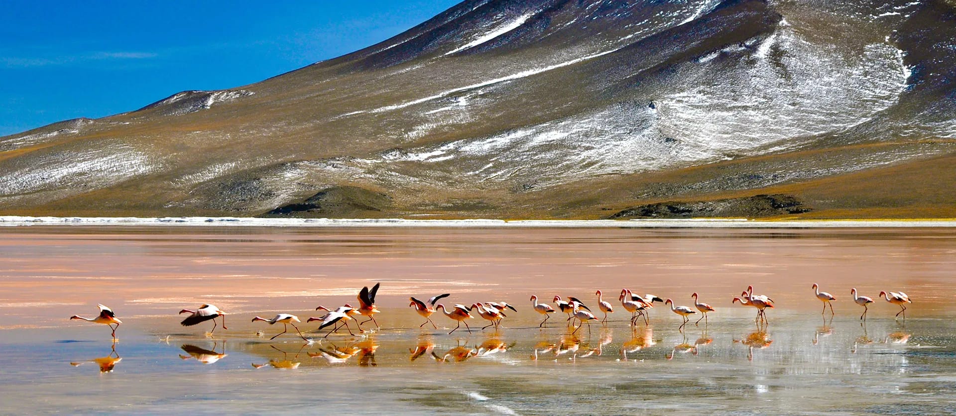 Chile