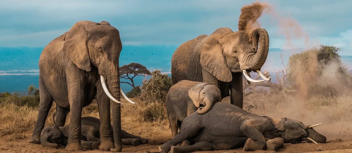 Kenia y Uganda