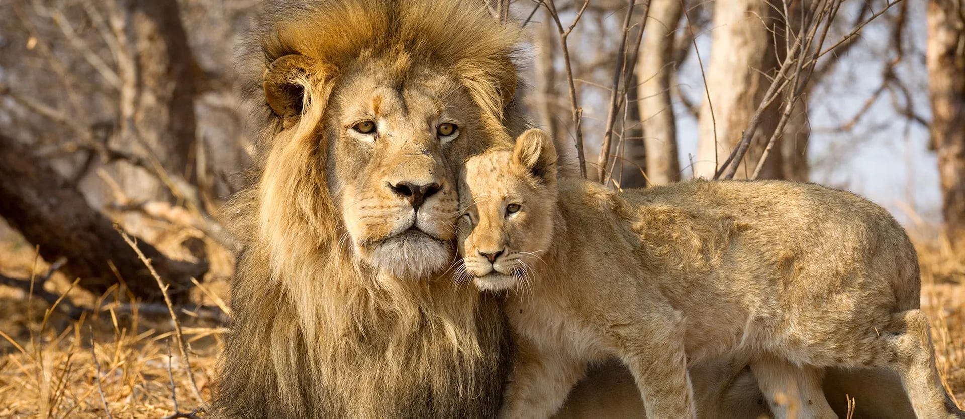 South Africa & Eswatini