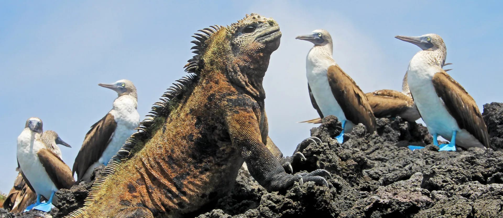 Peru & Ecuador