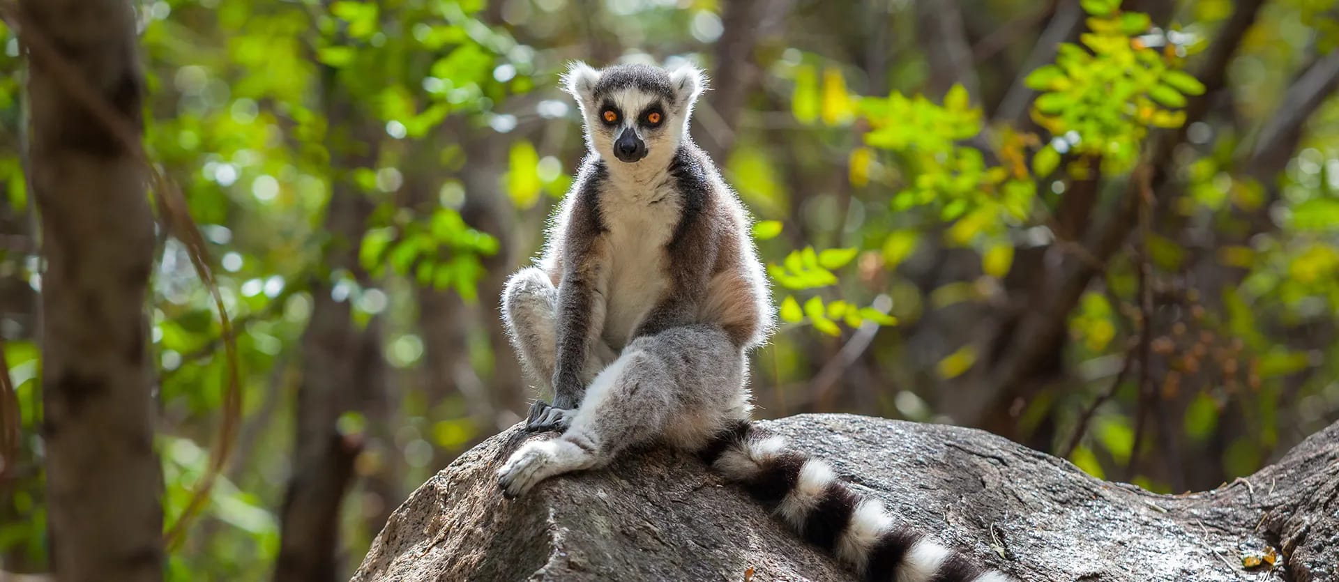 Madagascar