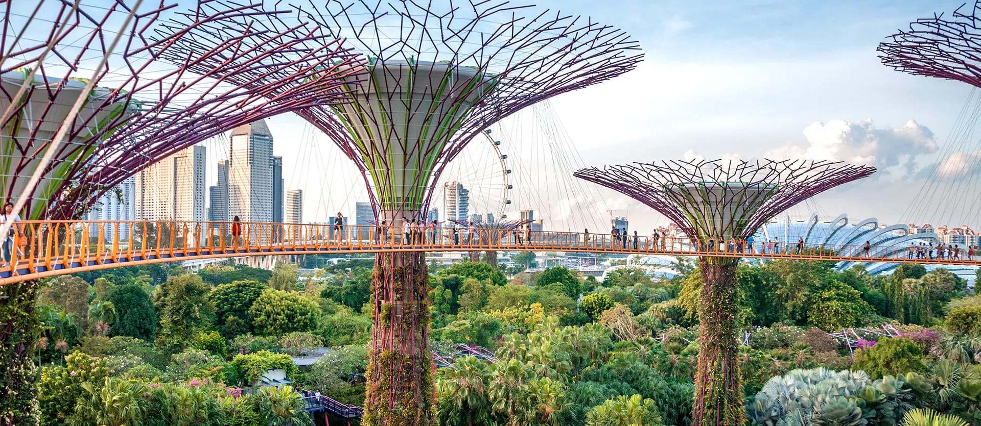 Singapur, Malasia, Indonesia y Tailandia