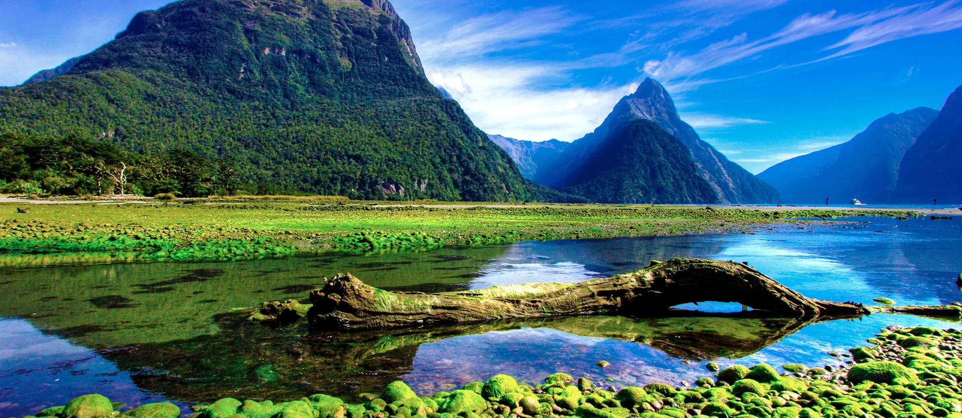 New Zealand & Australia