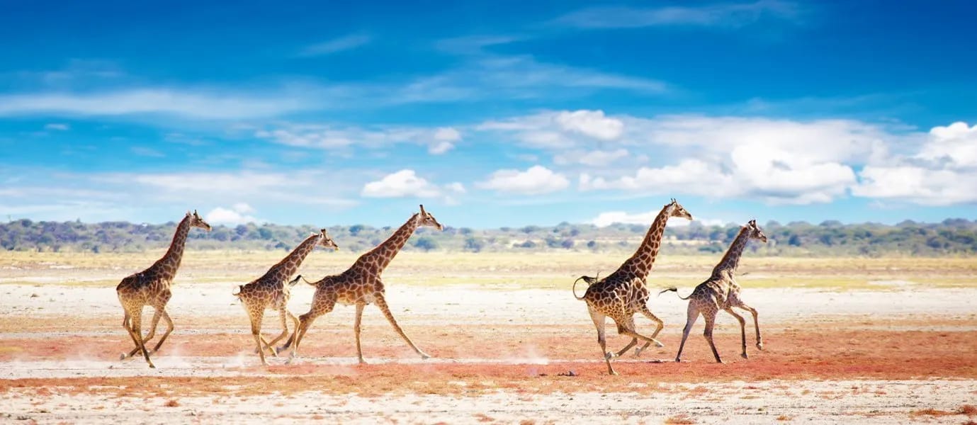 Namibia