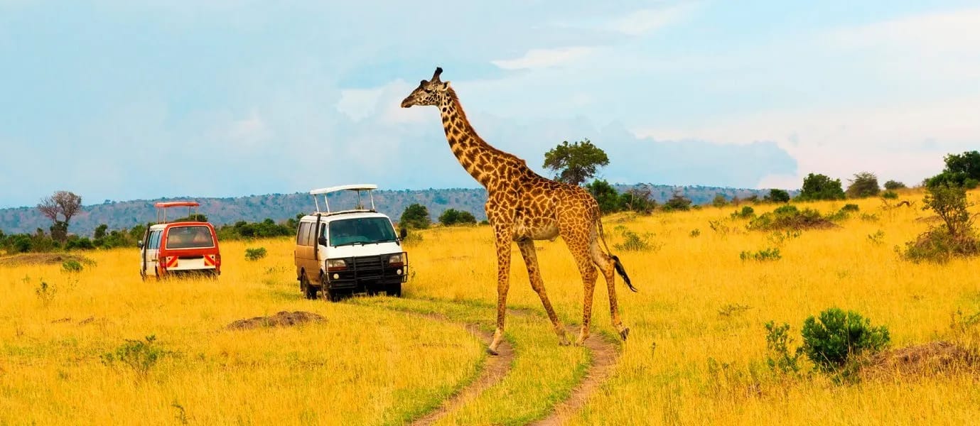 Kenia y Tanzania